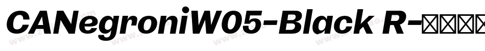 CANegroniW05-Black R字体转换